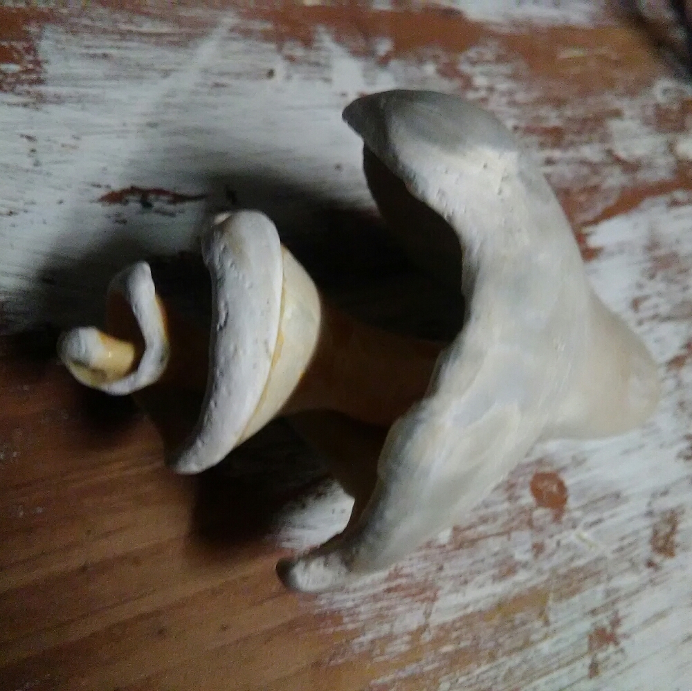 Sea Shell - Picture 2 of 5